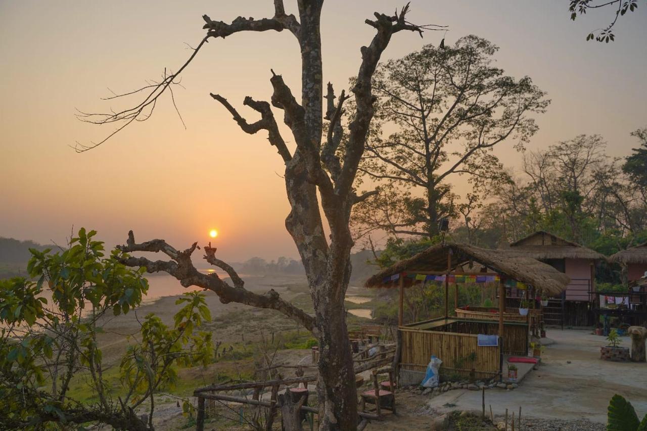 Bamby Chilling House - Feel The Nature Sauraha Dış mekan fotoğraf