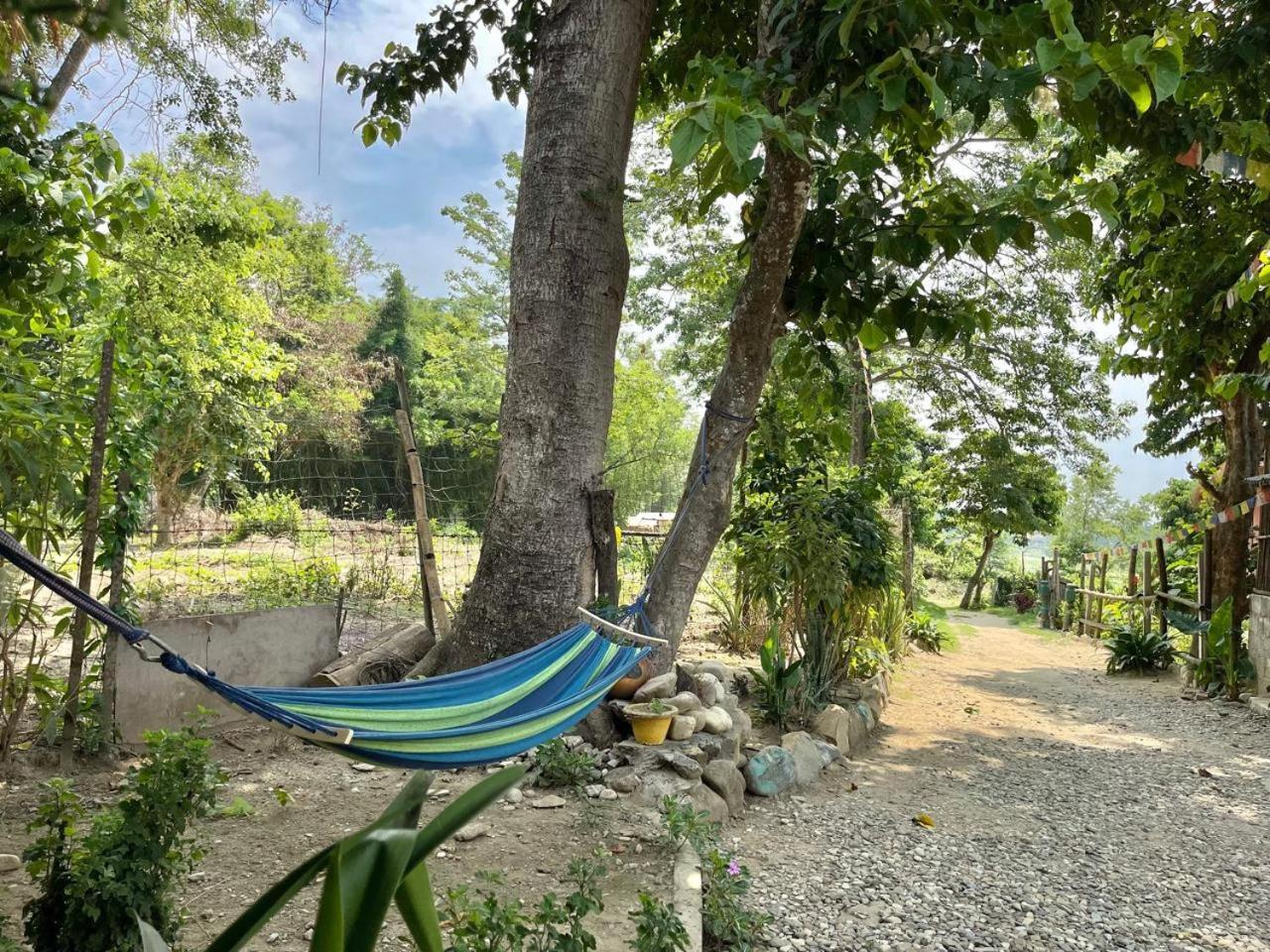 Bamby Chilling House - Feel The Nature Sauraha Dış mekan fotoğraf
