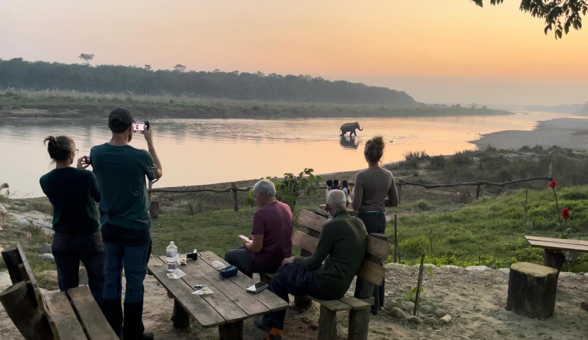 Bamby Chilling House - Feel The Nature Sauraha Dış mekan fotoğraf