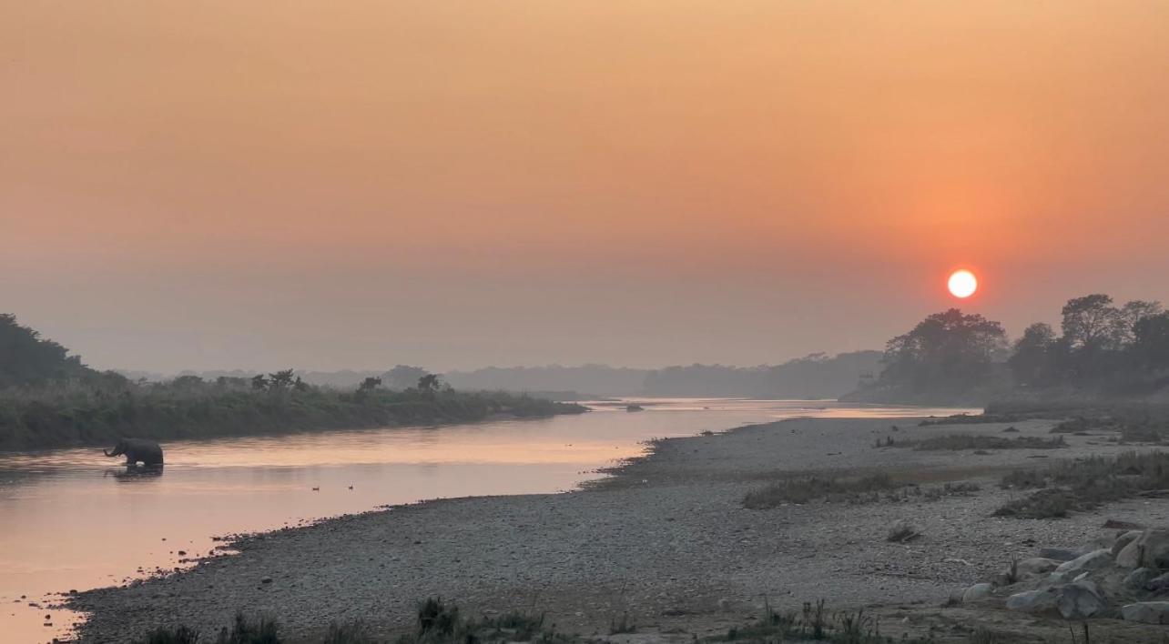 Bamby Chilling House - Feel The Nature Sauraha Dış mekan fotoğraf