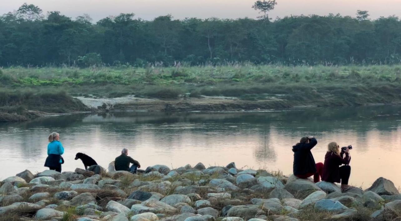 Bamby Chilling House - Feel The Nature Sauraha Dış mekan fotoğraf