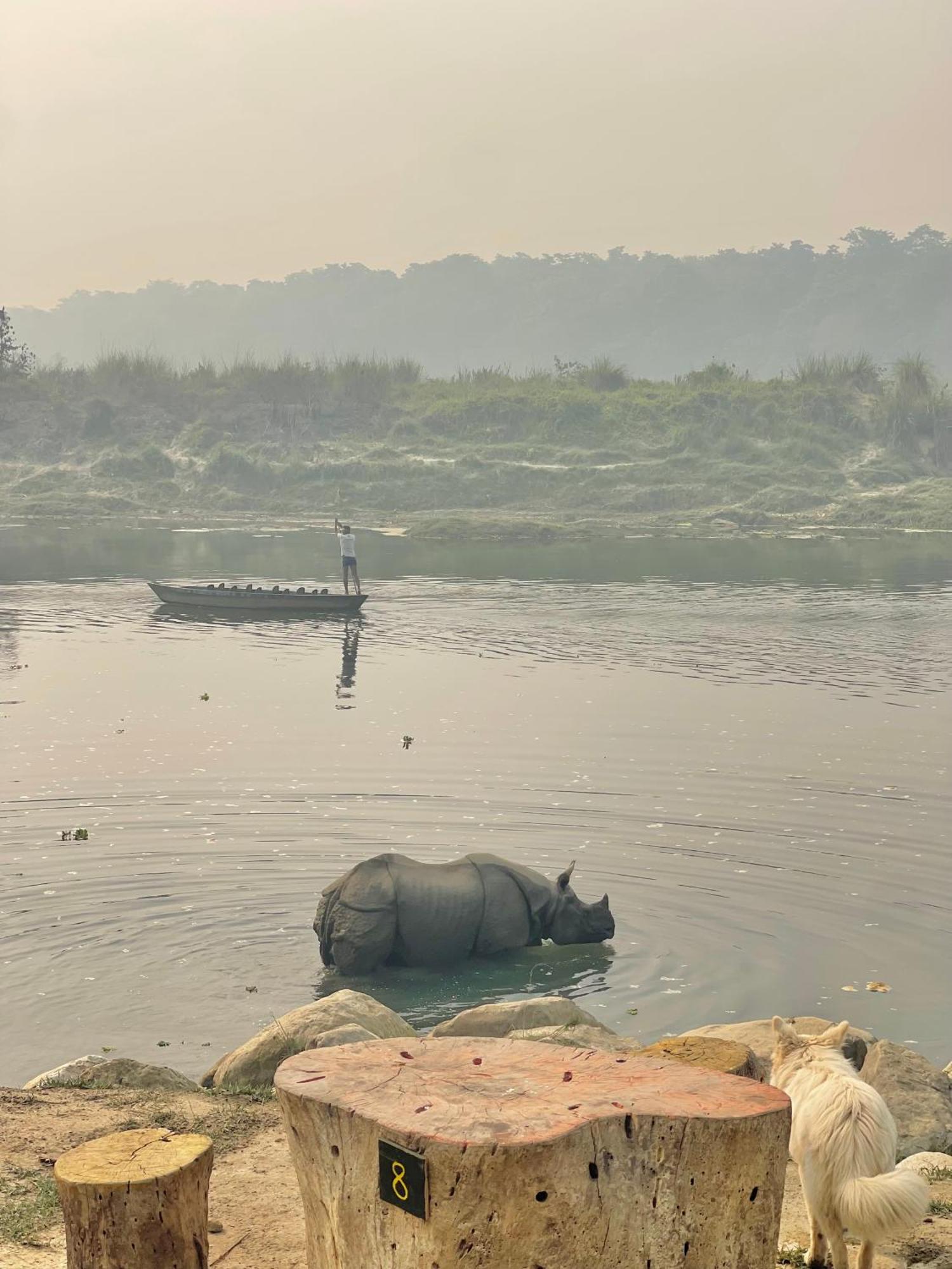 Bamby Chilling House - Feel The Nature Sauraha Dış mekan fotoğraf