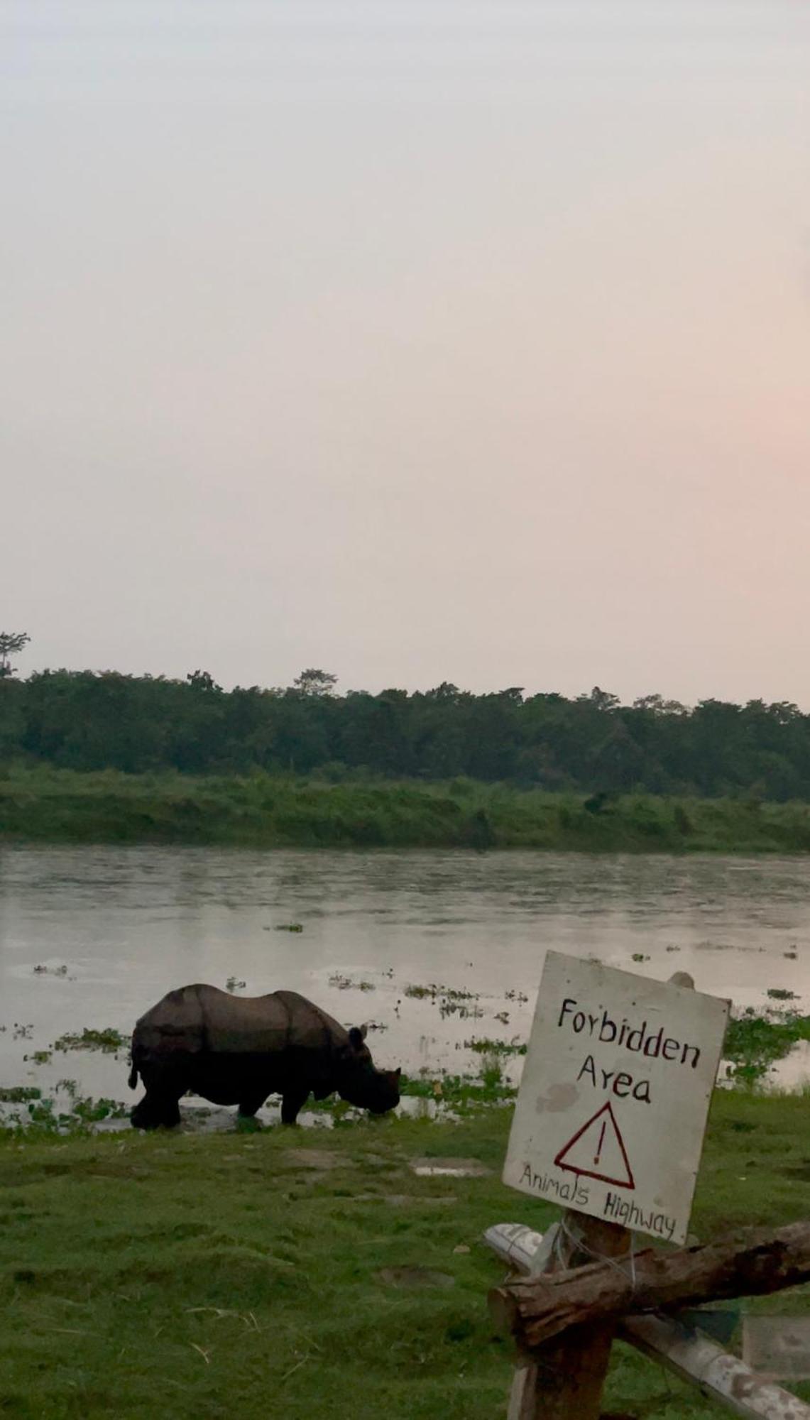 Bamby Chilling House - Feel The Nature Sauraha Dış mekan fotoğraf