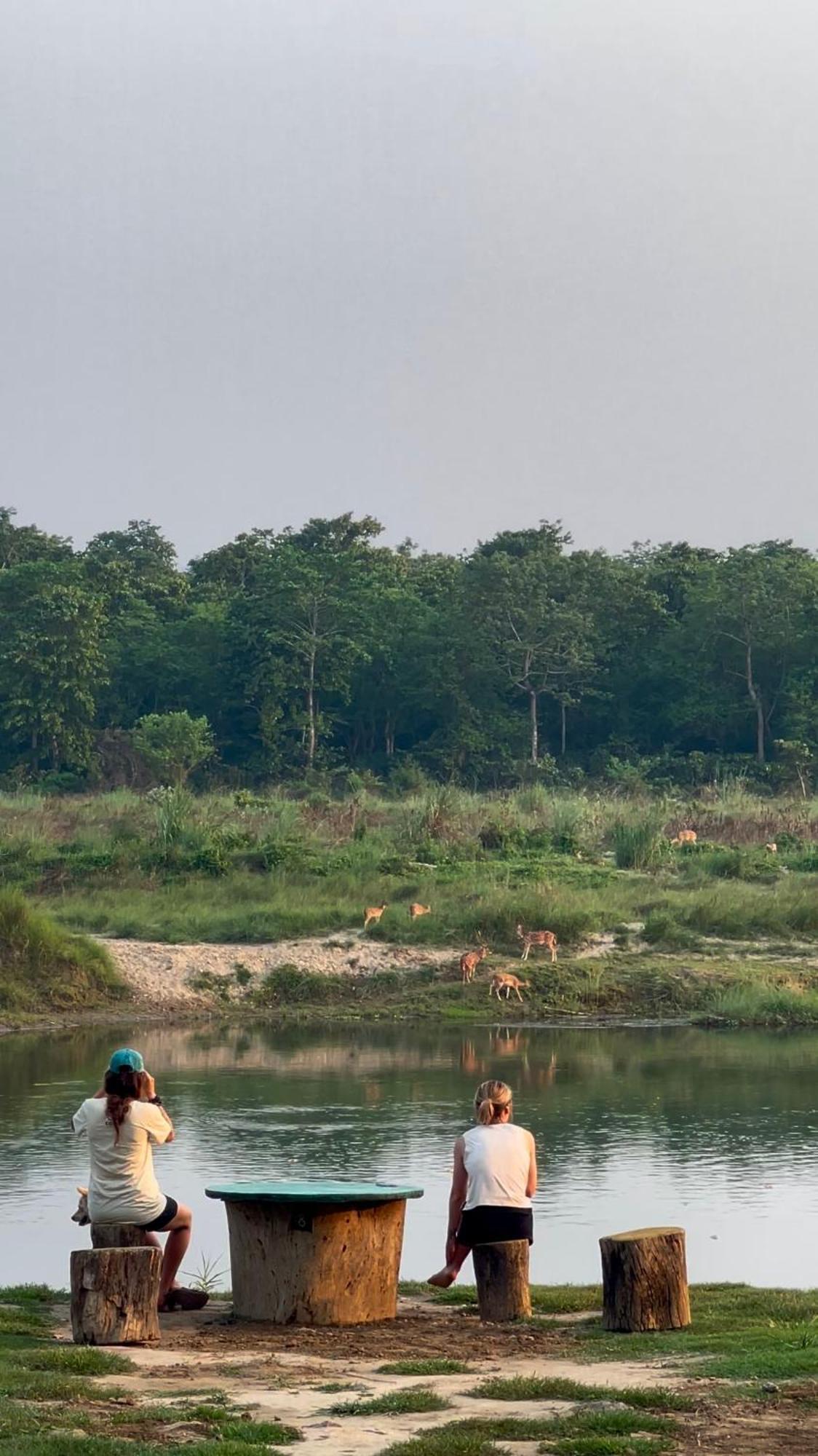 Bamby Chilling House - Feel The Nature Sauraha Dış mekan fotoğraf